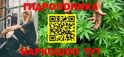 бошки Гусь-Хрустальный