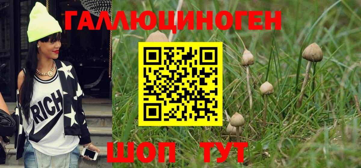 купить наркотик  Псилоцибиновые грибы мухоморы  Новый Уренгой  Вход с VPN  Галлюциногенные грибы Magic Shrooms 