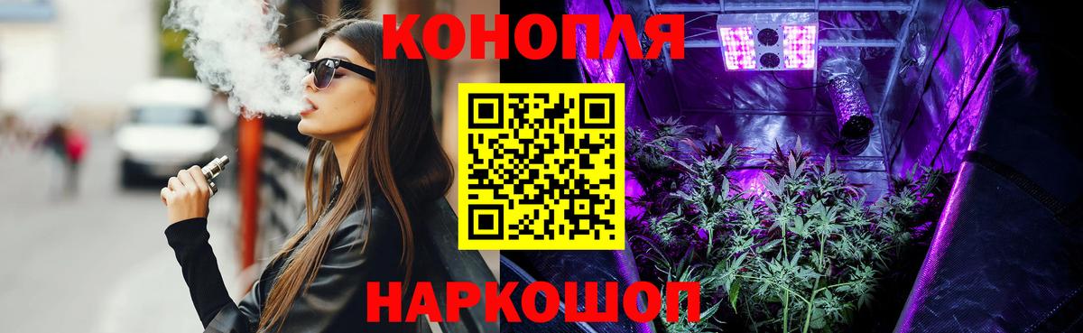 Новый Уренгой  Канабис конопля  Шишки марихуана план  Канабис MAZAR  Вход с VPN 